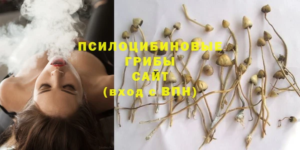не бодяженный Алзамай