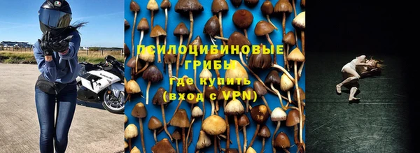 не бодяженный Алзамай