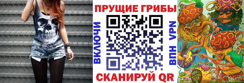 Псилоцибиновые грибы MAGIC MUSHROOMS  omg сайт  Электрогорск  продажа наркотиков 