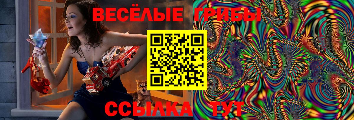 Галлюциногенные грибы прущие грибы Электрогорск