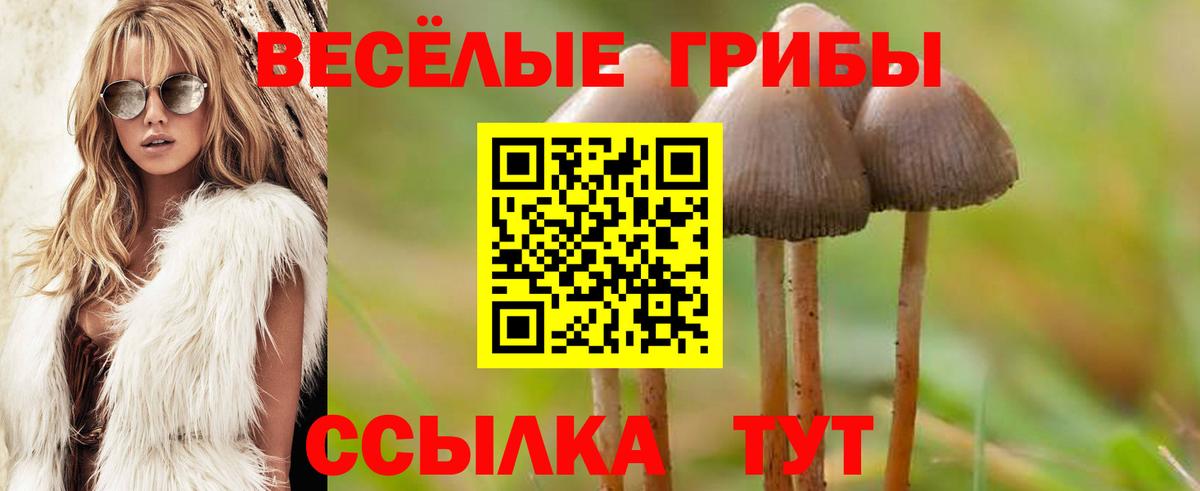 Электрогорск  Галлюциногенные грибы ЛСД  Вход с VPN 