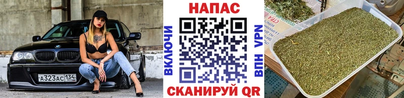 продажа наркотиков  Электрогорск  Бошки Шишки Ganja 